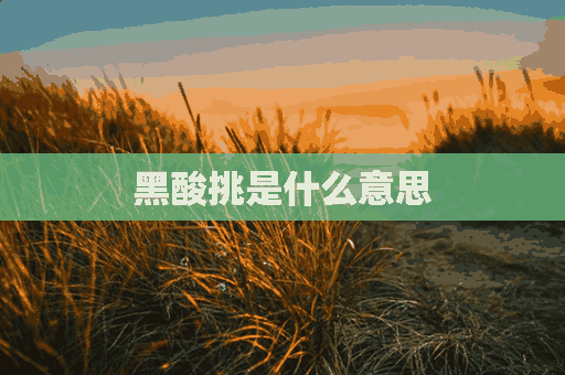 黑酸挑是什么意思(黑酸是什么意思?)